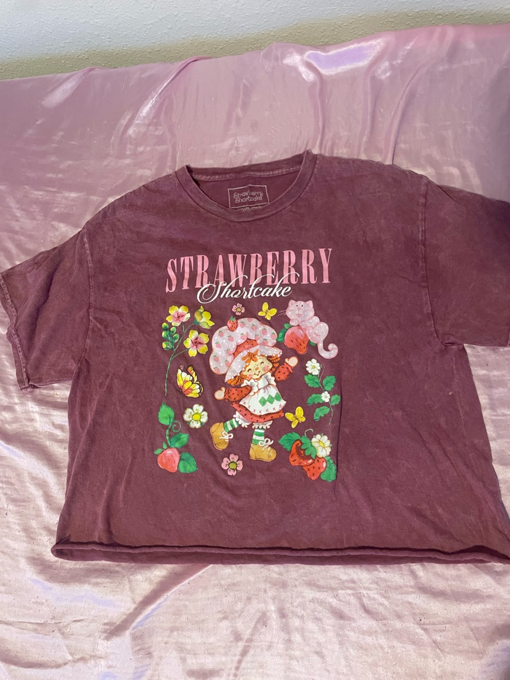Strawberry Shortcake Girls' Maroon Graphic Tee